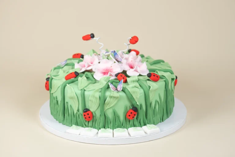 Tort biedronki
